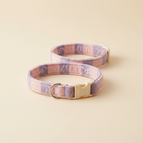 Collar Seguro para Gatos - Matizam Style